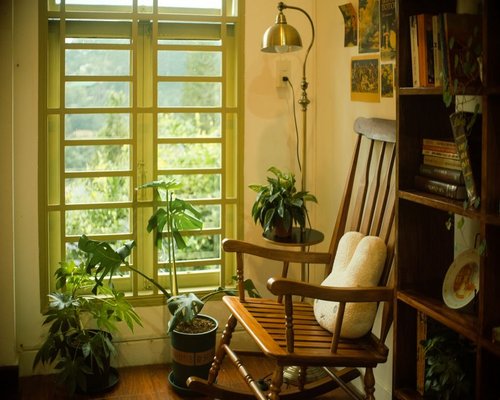 A calm reading place near a window in a Mexican house with plants